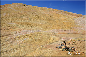 Am Fuß des Yellow Rock